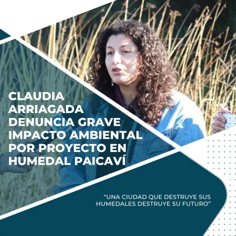 Una ciudad que destruye sus hunedales, destruye su futuro