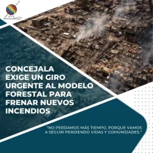 Concejala exige un giro urgente al modelo forestal