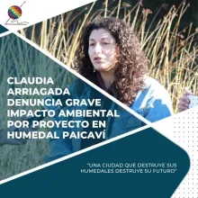 Denuncian grave impacto ambiental por proyecto en humedal paicavi