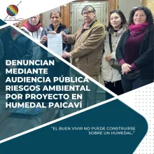 Mediante Audiencia publica denuncian riesgos por proyecto inmobiliario en humedal paicavi