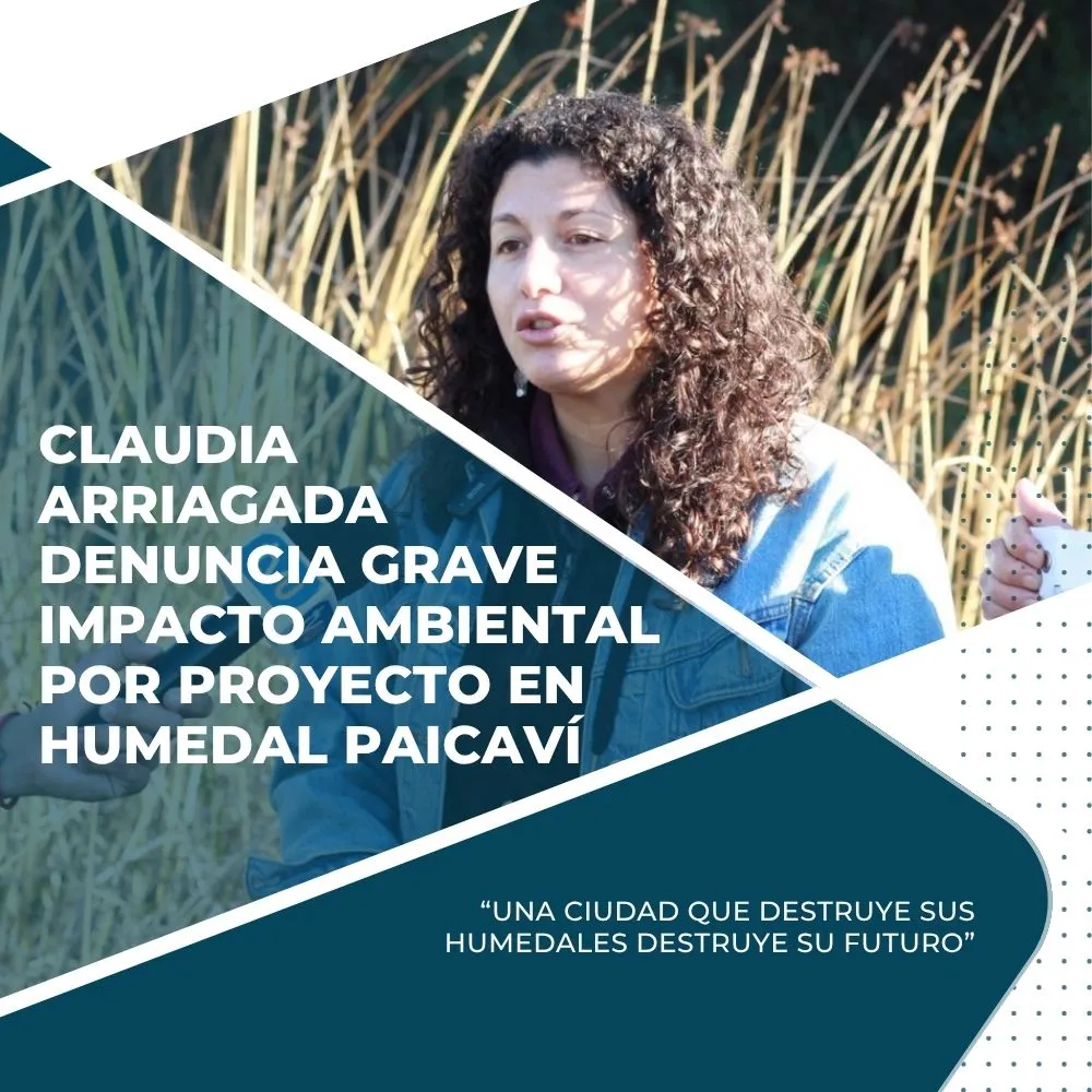 Una ciudad que destruye sus hunedales, destruye su futuro
