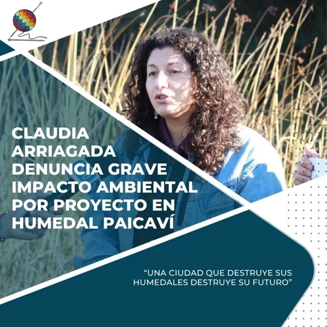 Denuncian grave impacto ambiental por proyecto en humedal paicavi