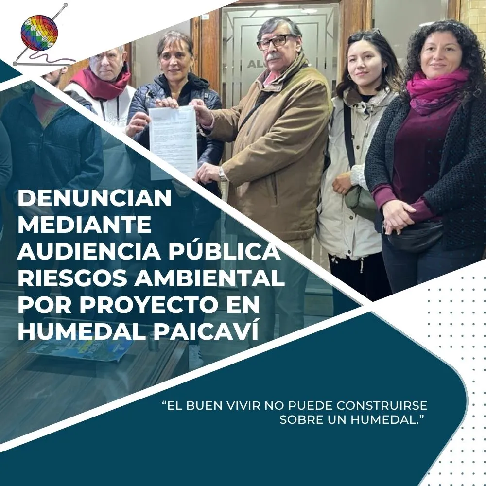 Mediante Audiencia publica denuncian riesgos por proyecto inmobiliario en humedal paicavi